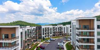 Ellison at the Preserve Gallery 23