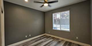 4248 Rimini Way Gallery 25