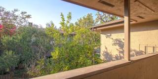 1066 San Pasqual St Apt 21 Gallery 9