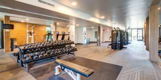 Axis Oakland Gallery 56