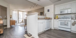 Ballston Place Gallery 12
