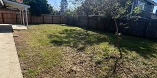 Now Available! 3 Bedroom Home in North West Visalia! Gallery 12