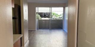 Napili Towers Gallery 2