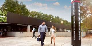 The Magnolia Gallery 44