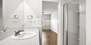 313 Bounding Main Gallery 11