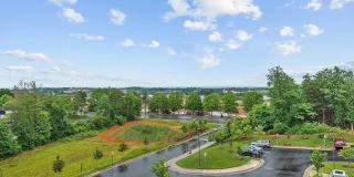 46270 MOUNT ALLEN Terrace Gallery 22