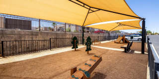 Sonoma Palms Gallery 29