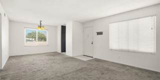 833 Cinnamon Gallery 5