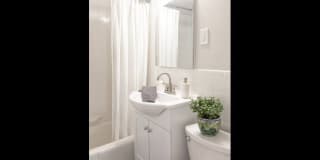 Mill Street Gardens Gallery 8