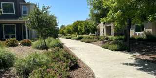 Charming 3 Bed / 2.5 Bath Home with Modern Upgrades Gallery 7