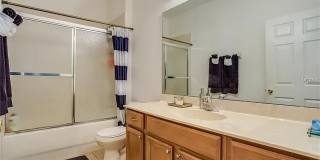 13611 Hidden Forest Circle Gallery 2
