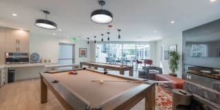 Essence Essence Gallery 31