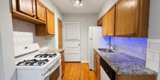 6535 N Mozart Gallery 1