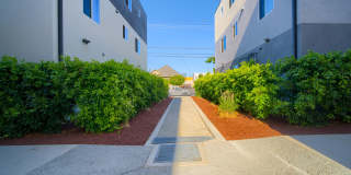 1419 1/2 South New Hampshire Avenue Gallery 1