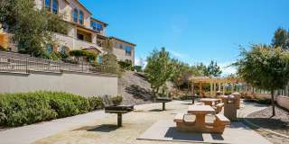 Ocean Air Gallery 22