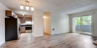Icon Apartments Gallery 1