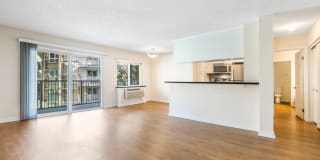 Marina 41 Gallery 15