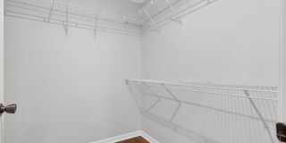 Pristine in PVB Gallery 17