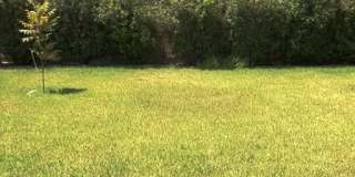 6205 Charlotte Ln Gallery 21