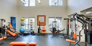 Avanti Cityside Gallery 13