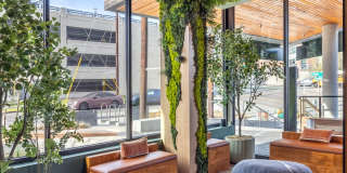 Cascara Apartments Gallery 36