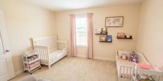 8196 Cape Fox Drive Gallery 12