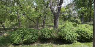 329 SHAWMONT Avenue Gallery 20