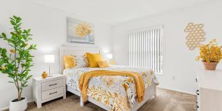 Bella Vista Apartments Gallery 20
