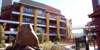 B3 Bakery Apartments Gallery 16