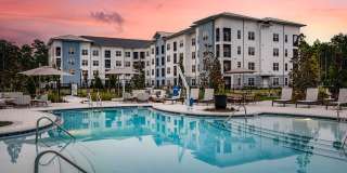 Arcadia 331 Gallery 2