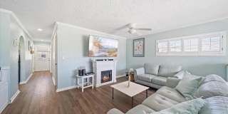 Dolphin Beach Gallery 13