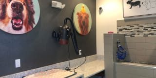 Integra Sunrise Parc Gallery 19