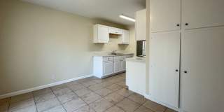 Summer Woods Gallery 34