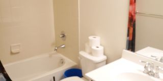 SPACIOUS 4 Bedroom Townhome-Owings Mills, MD Gallery 21