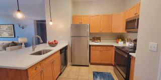 The Arlo Apartment Homes Gallery 11