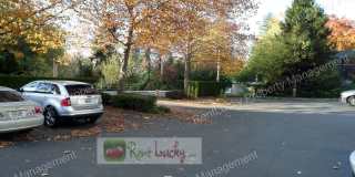 Gorgeous 2 Bedroom Condo with Secured Parking in Unbeatable Bellevue Location!! Gallery 26