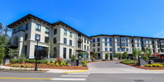 Mercato Grove Gallery 35