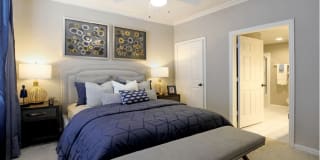 The Saxony Apartments The Saxony Apartments Gallery 21