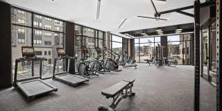 Ivy & Green Gallery 13