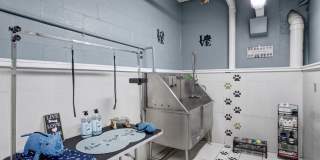 Palette at Arts District Gallery 22