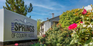 Springs of Country Woods Gallery 17