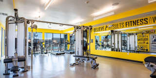 FLATZ 432 Gallery 19