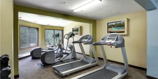 Cedars Lakeside Gallery 21