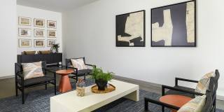 Livano Knoxville Gallery 69