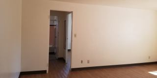 Webster Towers Gallery 13