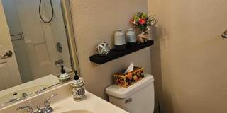 3051 Simitan Dr Gallery 21