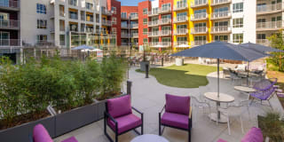 Rise Koreatown Gallery 21