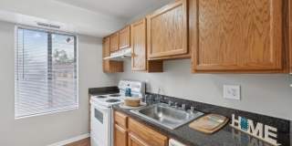 Grove at Alban Gallery 31