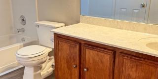 Desirable Highlands at Sagert Ranch Neighborhood!! Features 4 Bedrooms, 2.25 Bath, 2 Car Garage Home Gallery 15