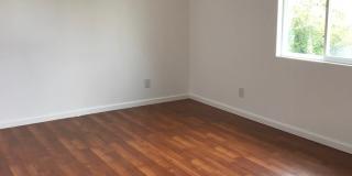 Spacious Dual-Unit Home in Prime Echo Park Location *Close to Dodger Stadium* Gallery 5